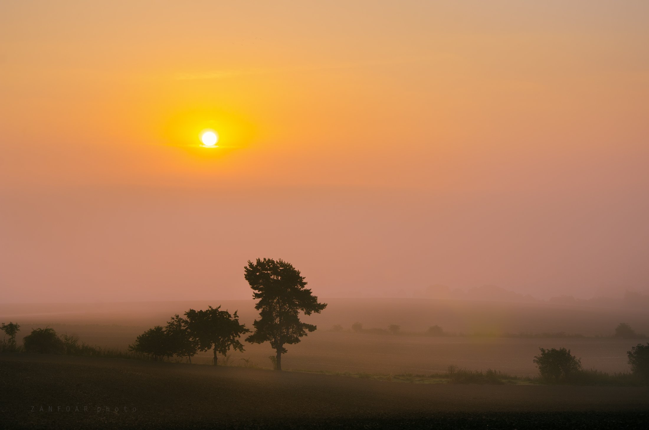 осенний ,туман,landscape,zanfoar,czech republic,nikon d7000,чехия, Zanfoar