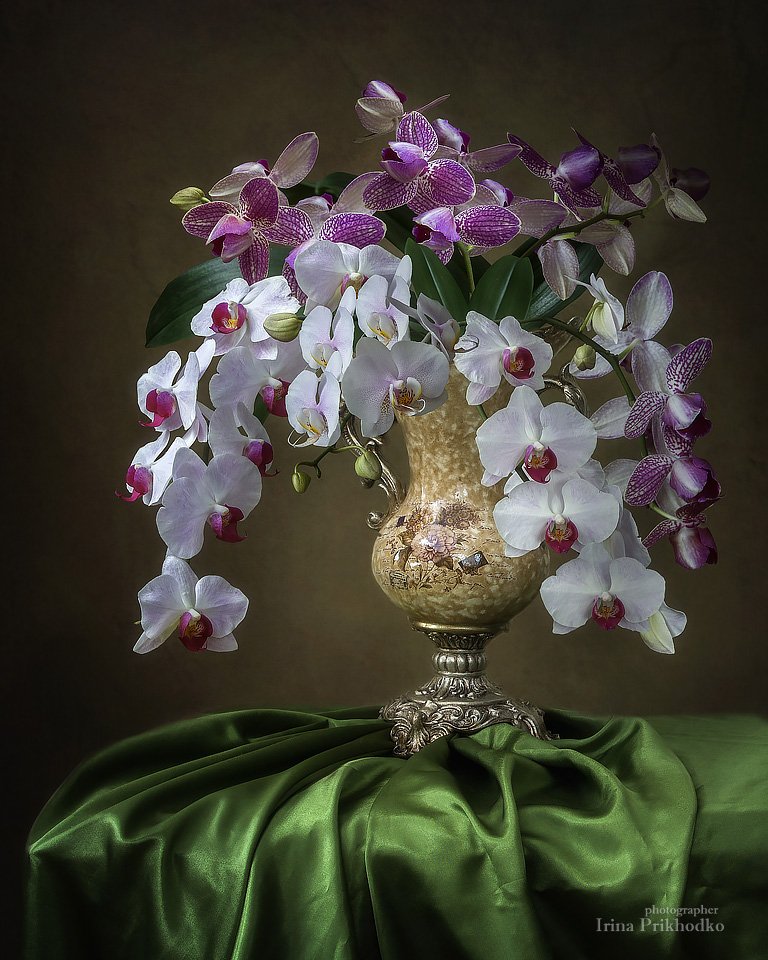 натюрморт, букет, флористика, орхидеи фаленопсис, винтажный цветочный натюрморт, художественная фотография, Ирина Приходько