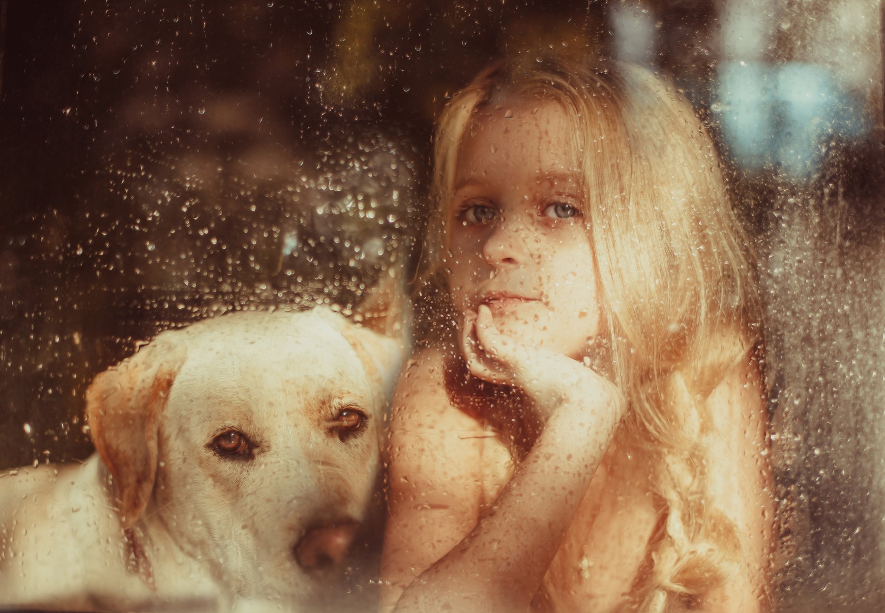 девочка, собака, портрет, окно, стекло, утро, Anna Vinogradova