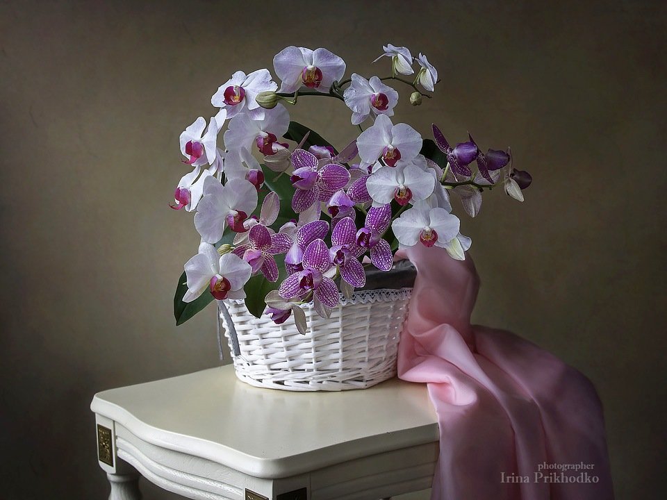 натюрморт, цветочный натюрморт, флористика, корзина цветов, орхидеи фаленопсис, Ирина Приходько