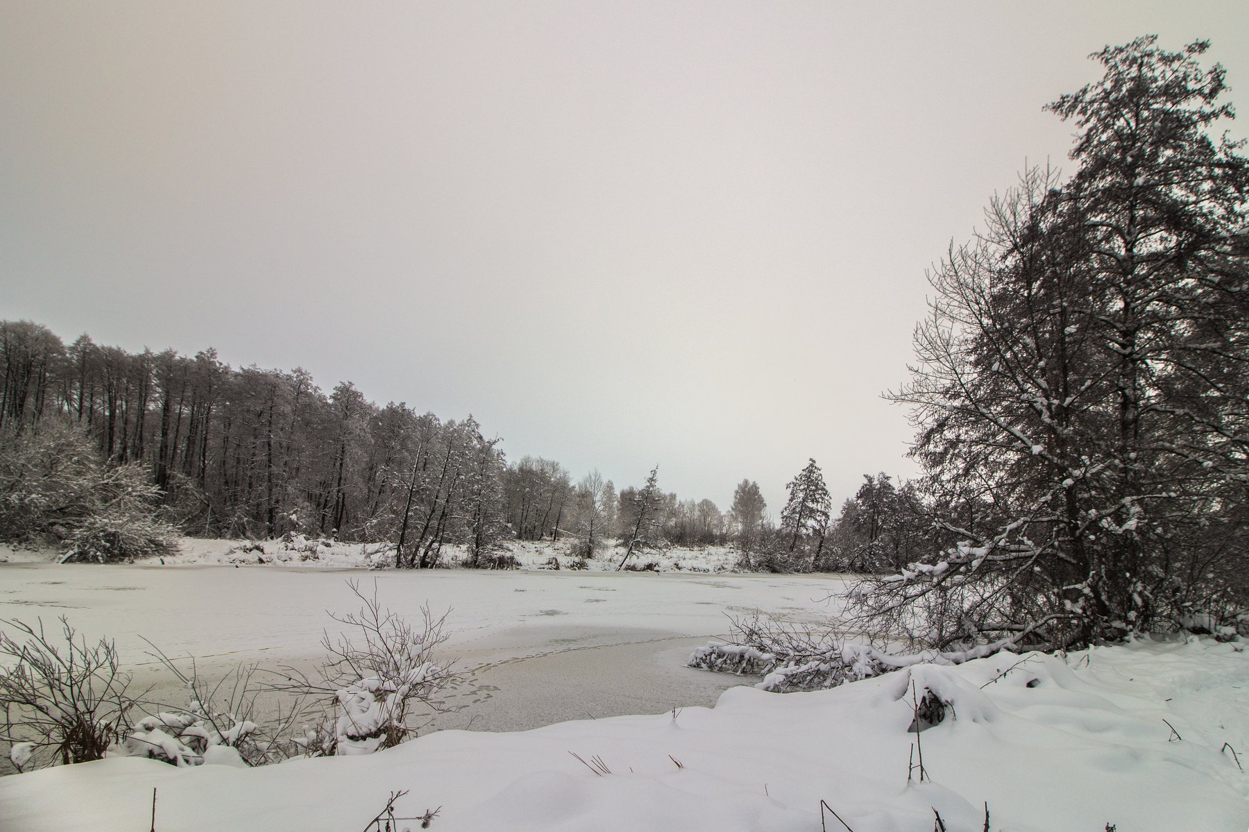 зима, лес, река, озеро, вода, усмань, снег, Руслан Востриков