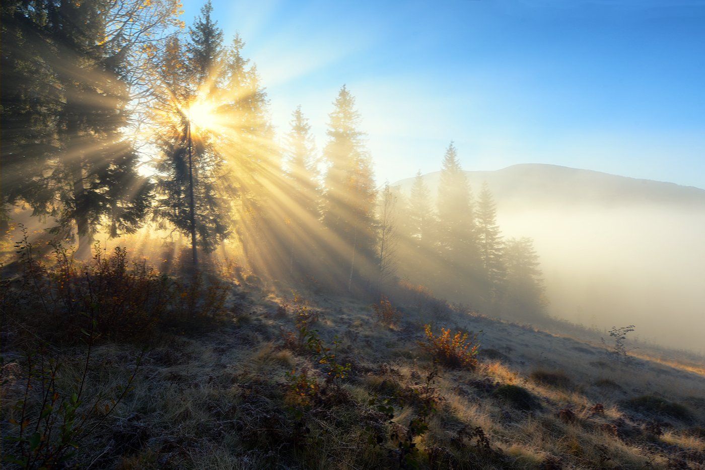 горы, утро, туман, солнце, Вьюшкин Игорь