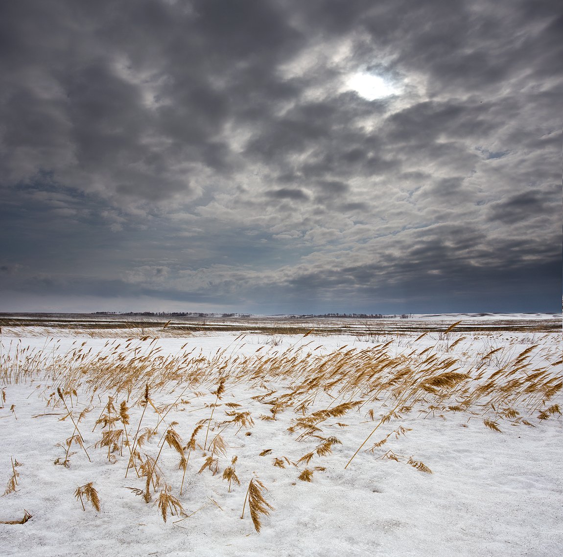 зима облака небо трава ненастье холод снег поле, Качурин Алексей