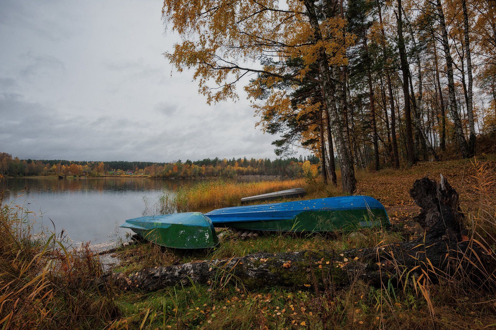 осень,берега,река,вуокса,лодки,деревья,краски,пейзаж, Евгений Плетнев