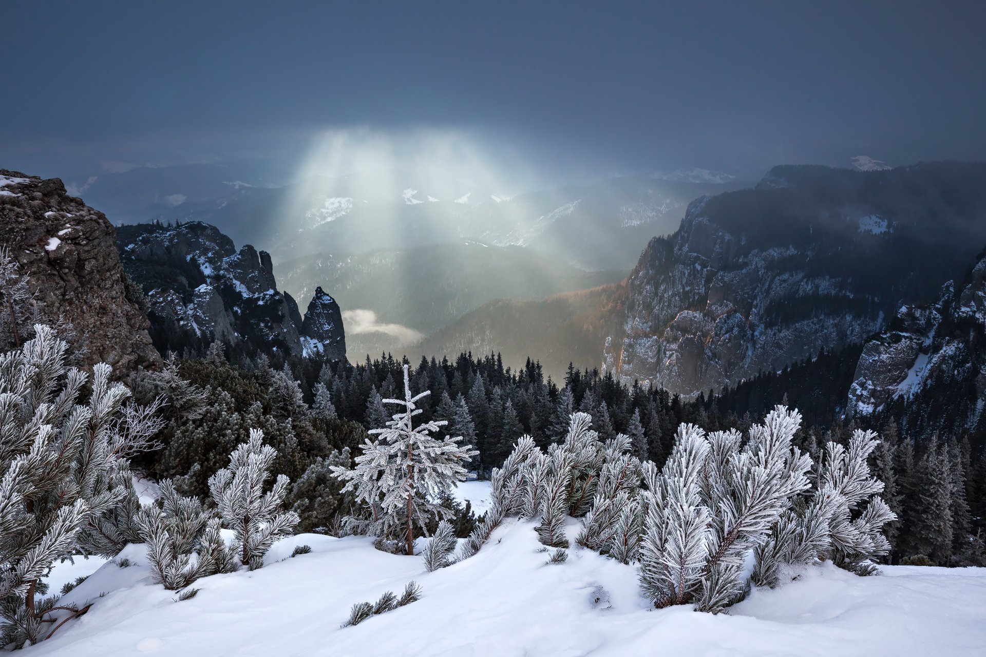 winter, trees, storm, snow, landscape, travel, nature, mountain, romania, cold, sunrise, light, Lazar Ioan Ovidiu