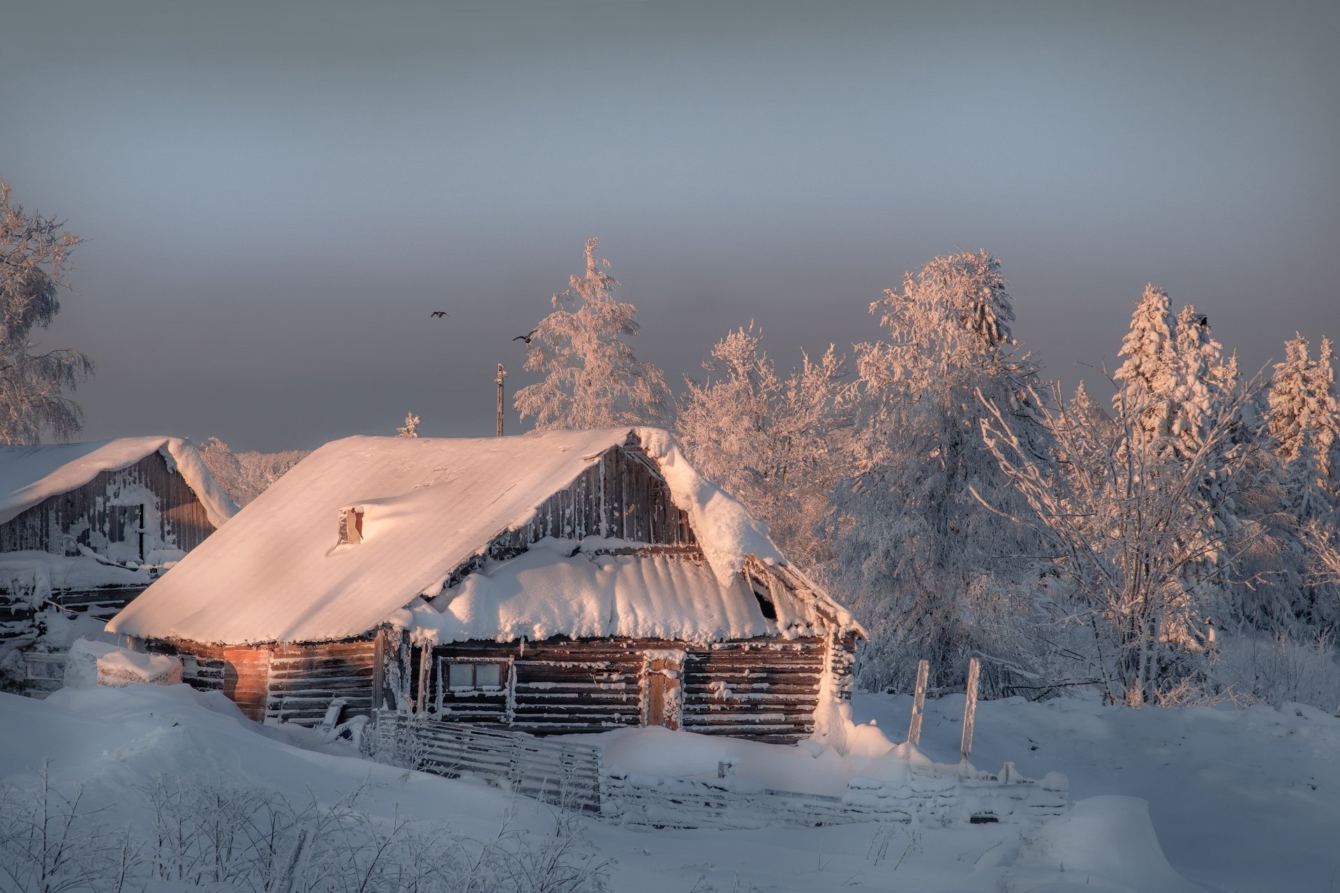 Снегом укрыты дома. Зимняя избушка в деревне. Изба-Зимница. Зима изба деревня. Деревня зимой.