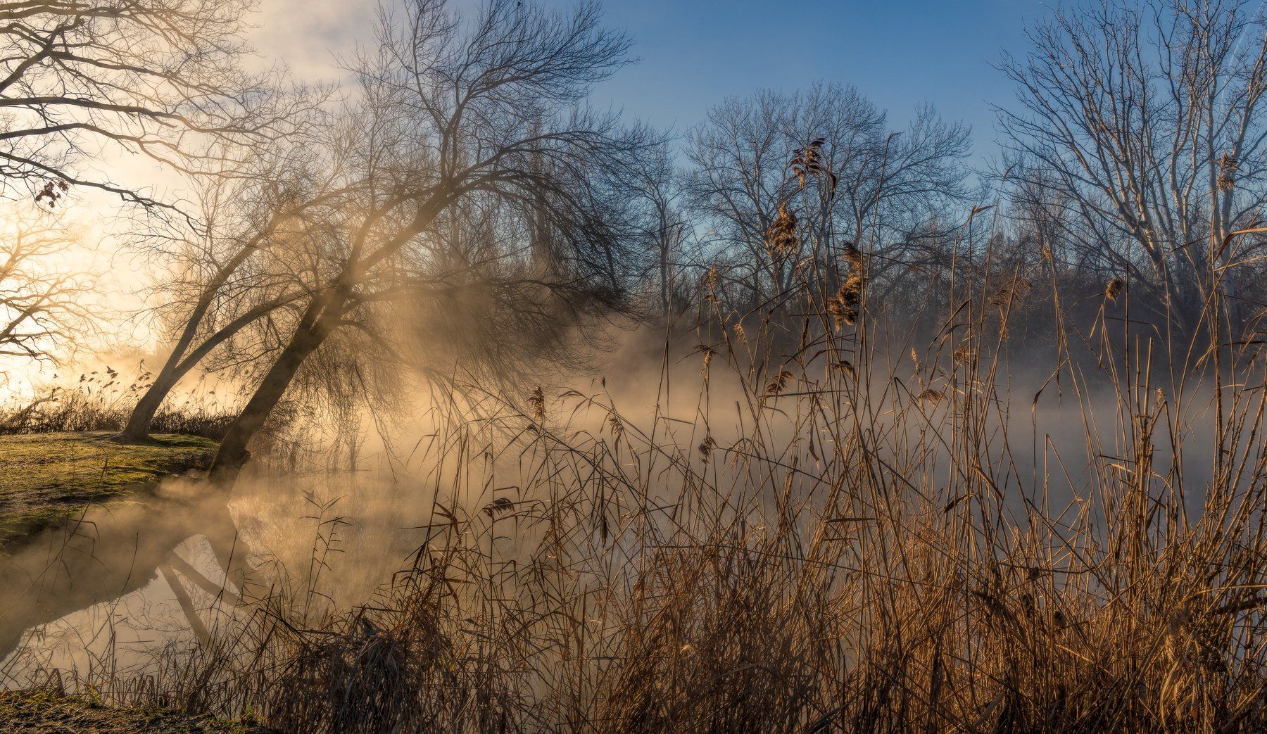 утро, и, туман, над, водой, Alexander Plekhanov