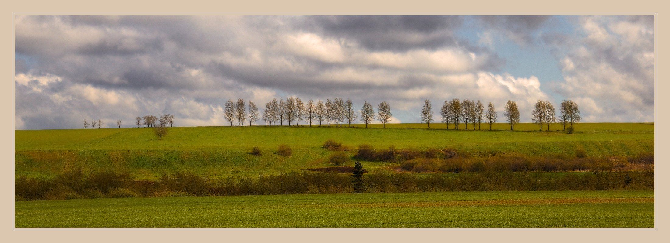 пейзаж, поля, деревья, небо, чехия, Oleg Dmitriev
