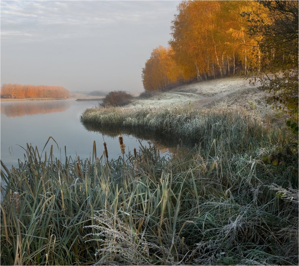 утро, иней, осень, листья, озеро, Александр Киценко