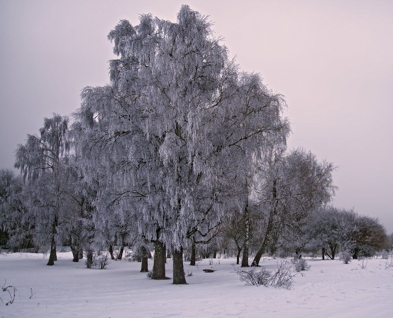 , Олег