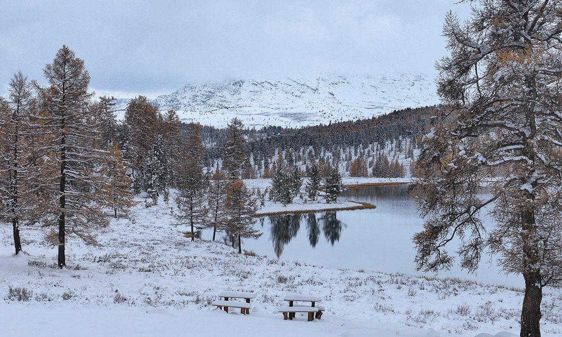 пейзаж, природа, снег, горы, алтай, осень, Sokolova Tatiana