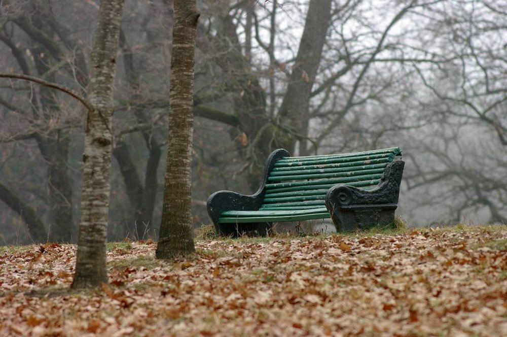 осень, парк, скамейка, деревья, Арсен Алабердов