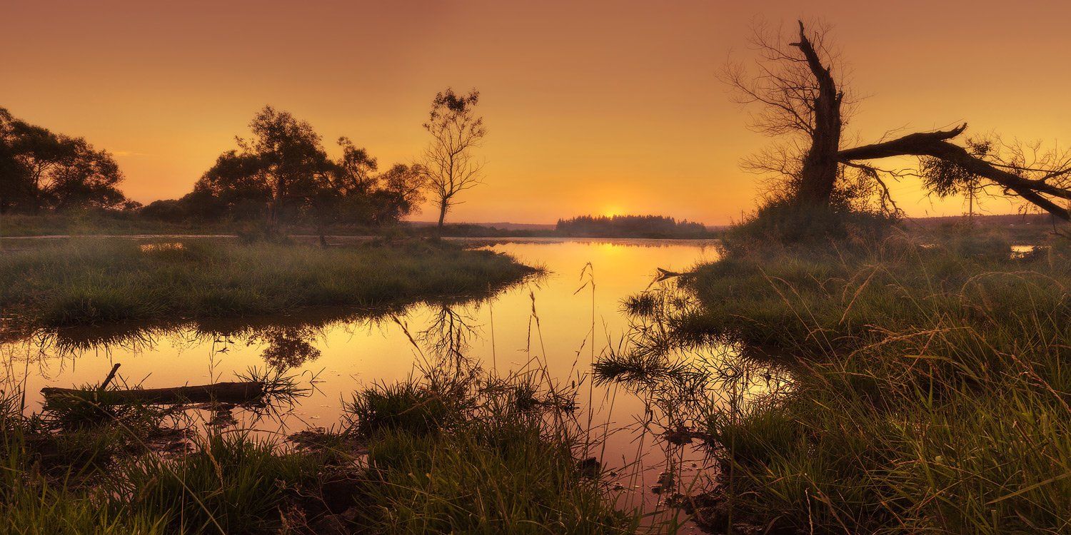 пейзаж, пруд, вечер, Oleg Dmitriev