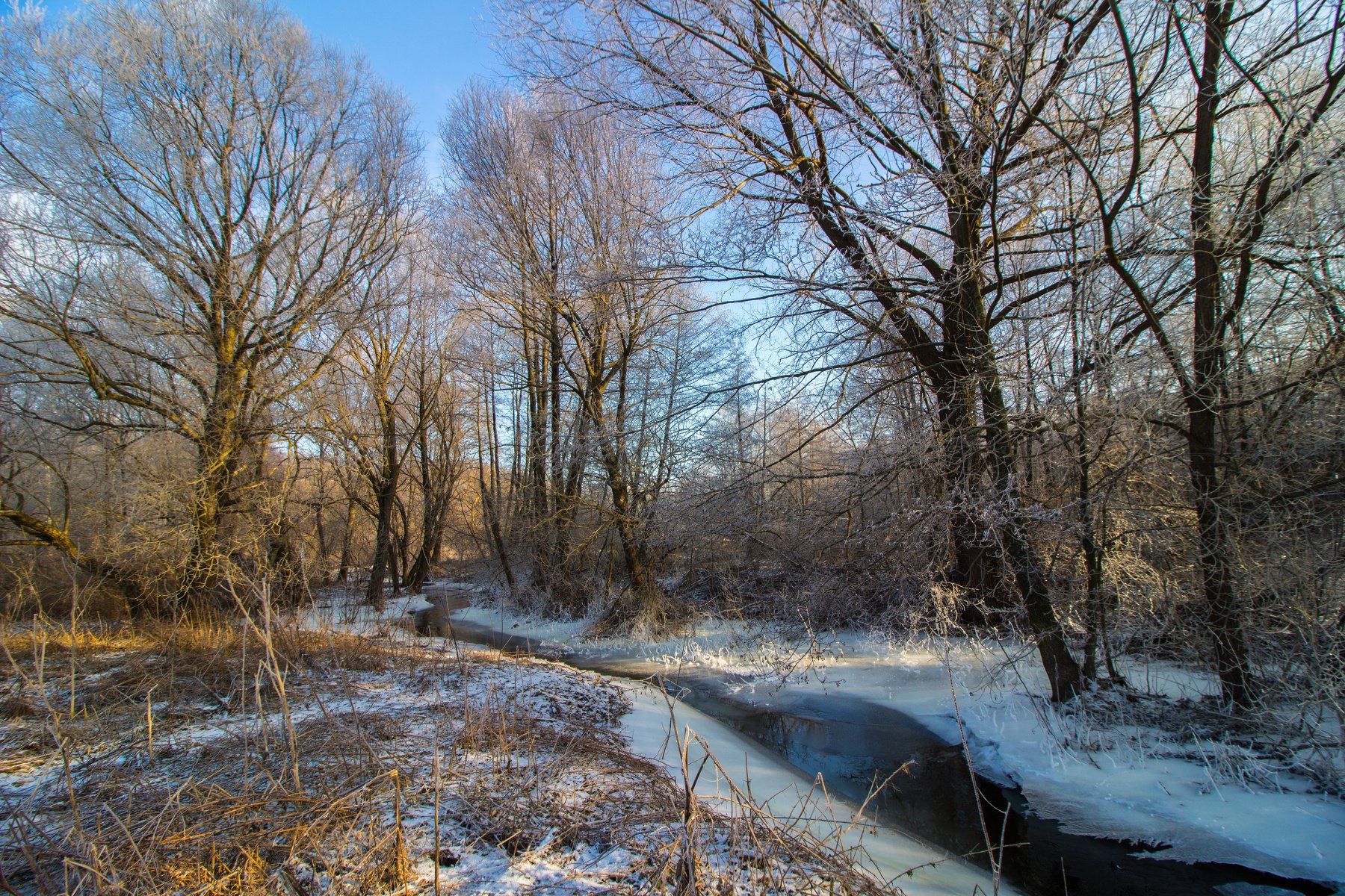 лес, зима, предзимье,мороз, ручей, река, усмань, Руслан Востриков