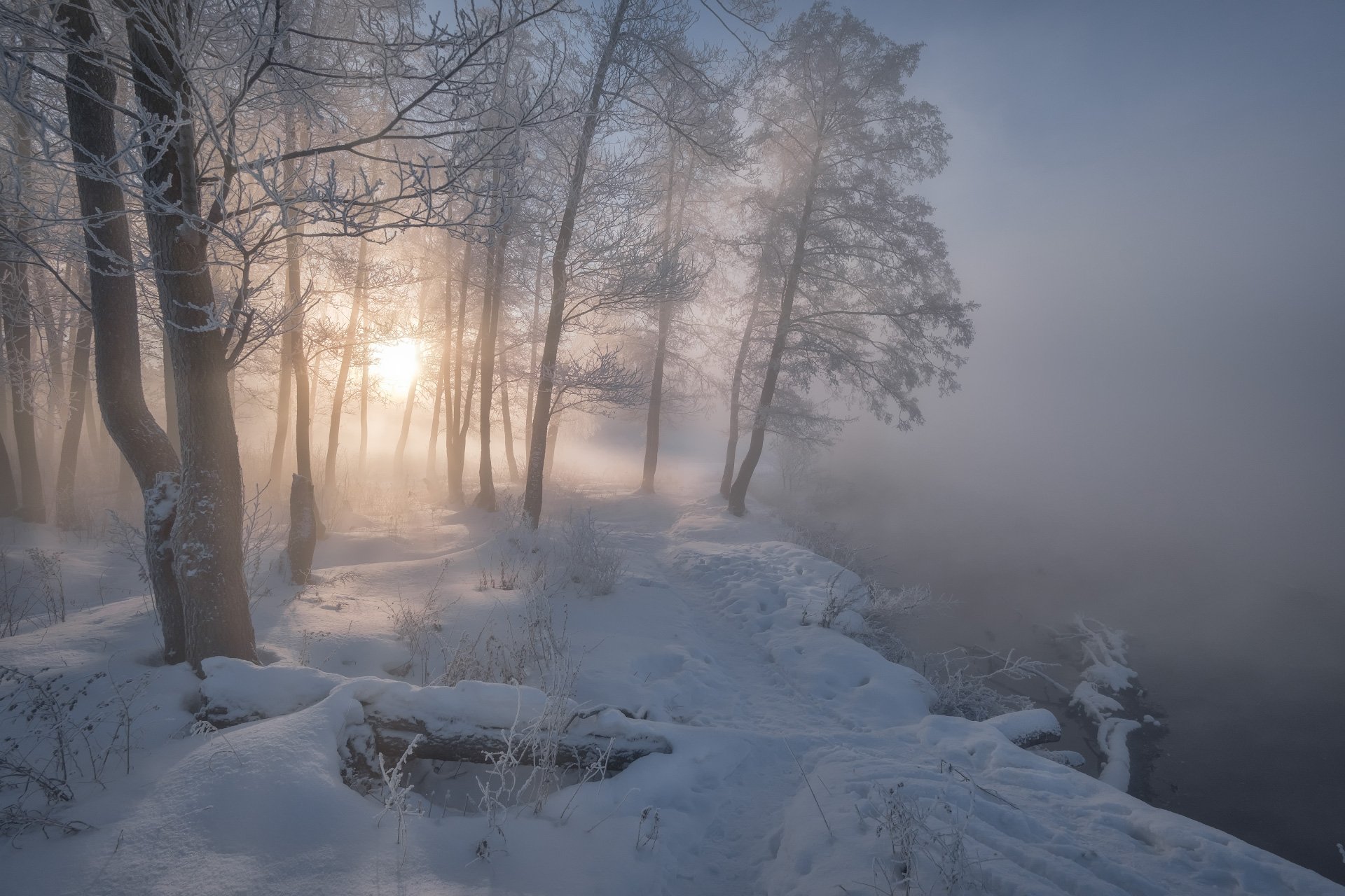 красково, пехорка, пейзаж, утро, туман, рассвет, холод, мороз, снег, солнце, деревья, москва, Андрей Чиж