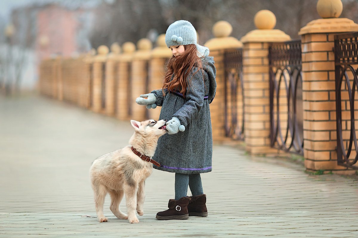 Дружочек. Photographer Frantseva Olga