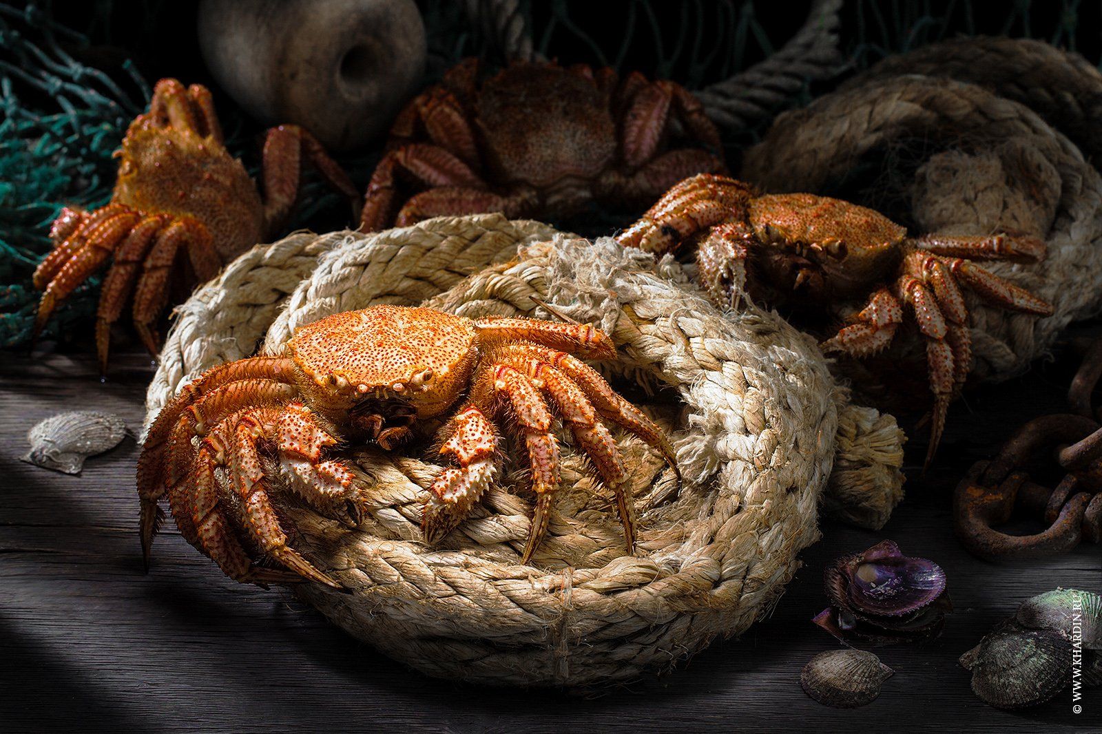 rustic, food, crab, Alexander Khardin