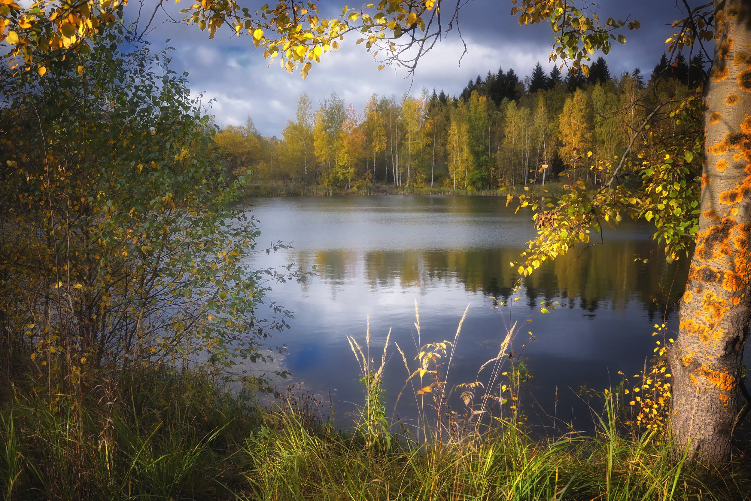 лес, природа, пейзаж, осень, река, вода, ручей, подмосковье, Алексей Никонов