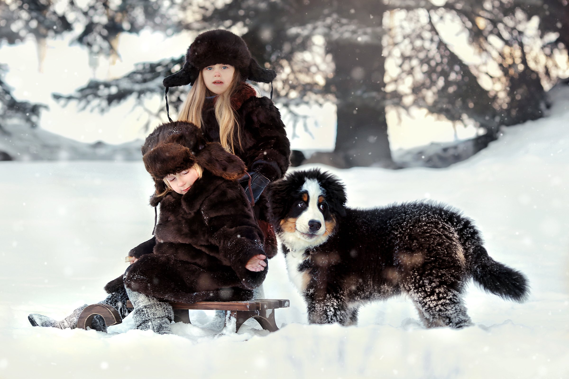 дети сани шубка зима собака, Валерия Касперова