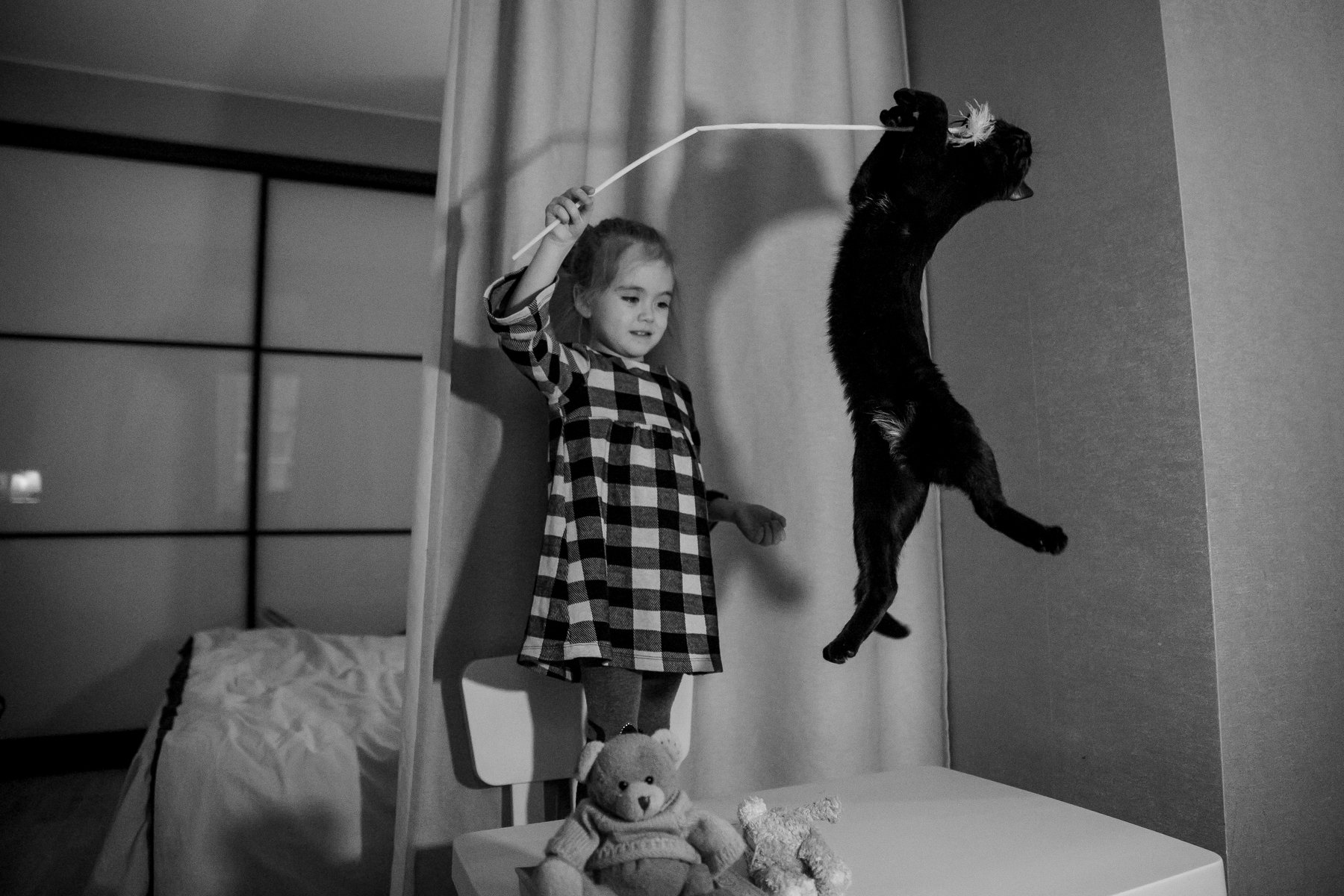 фотовтемноте непрокачество семейныйдосуг детиизвери кошка игры детки дочка тордуа, Анастасия Тордуа