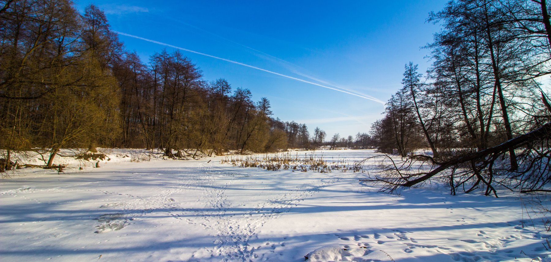 зима, лес, река, усмань, снег, Руслан Востриков