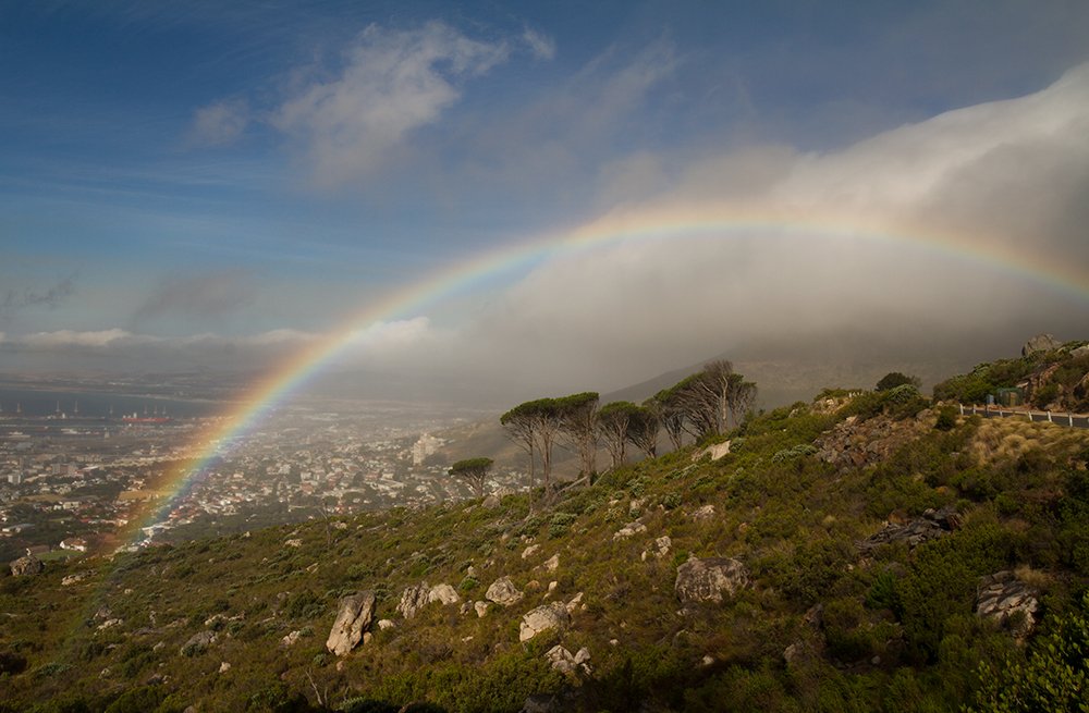 rainbow, Родислав Дрибен