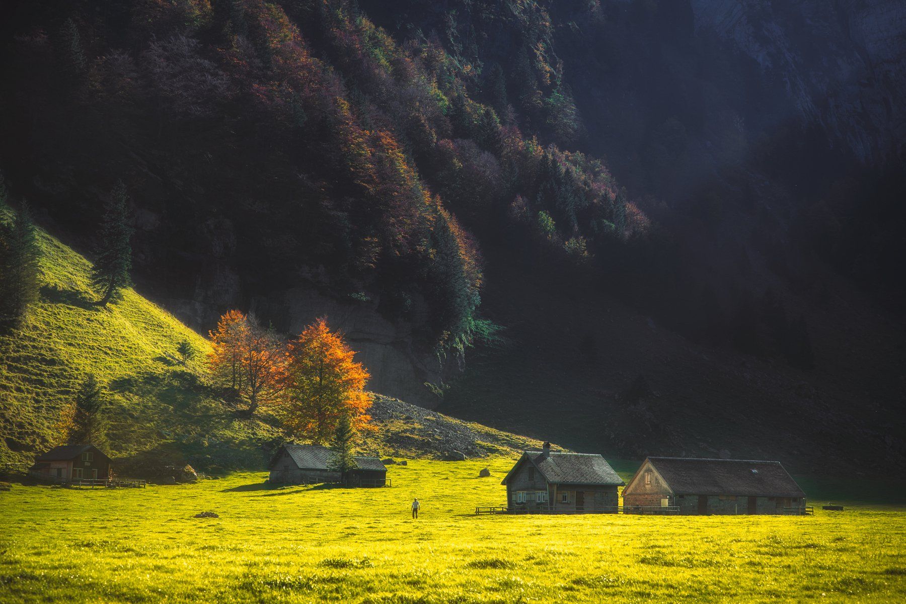 landscape,swiss,appenzell,light,autumn, Olegs Bucis
