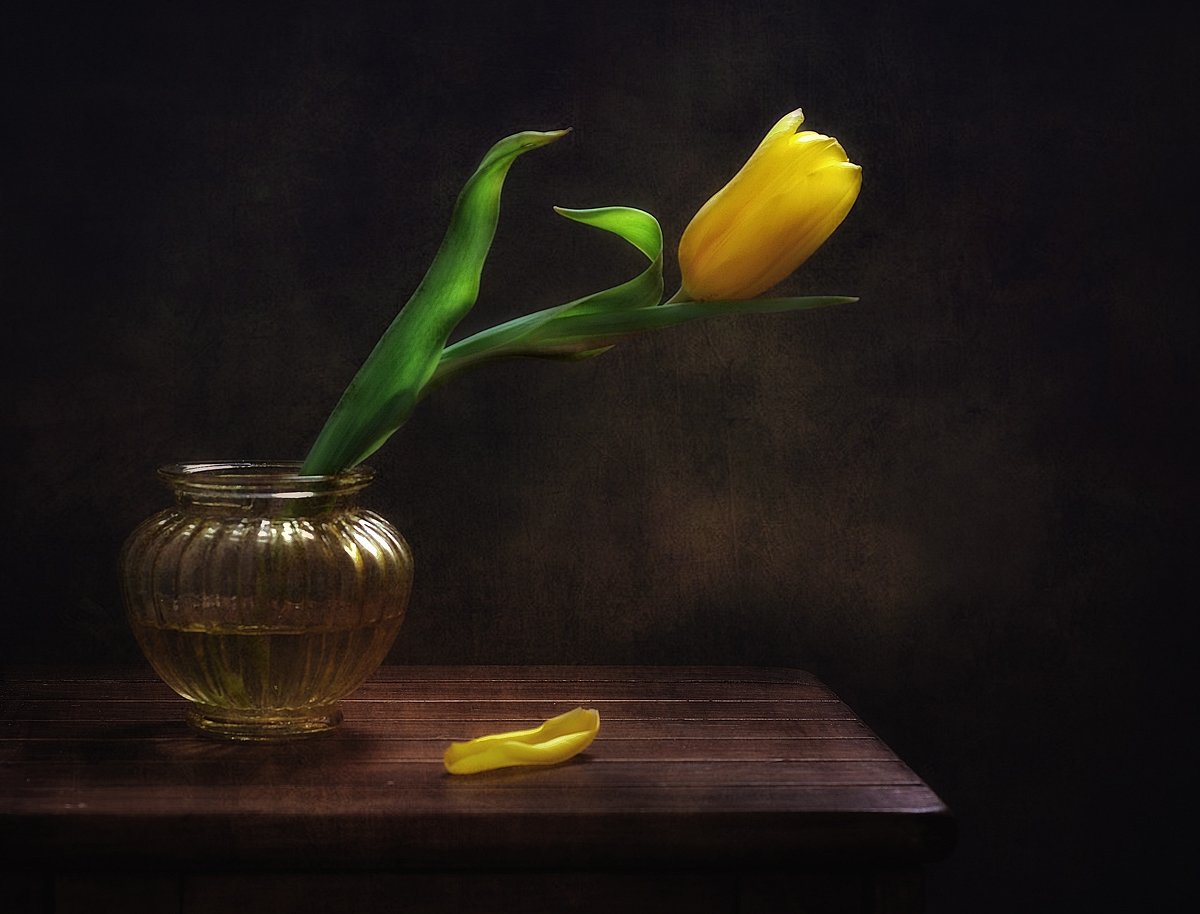 натюрморт,тюльпан,цветы, Наталия К