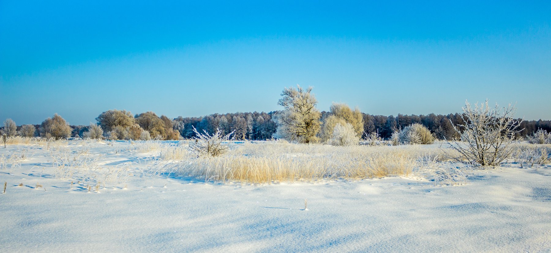 снег, рождество, мороз, зима, деревья, Руслан Востриков