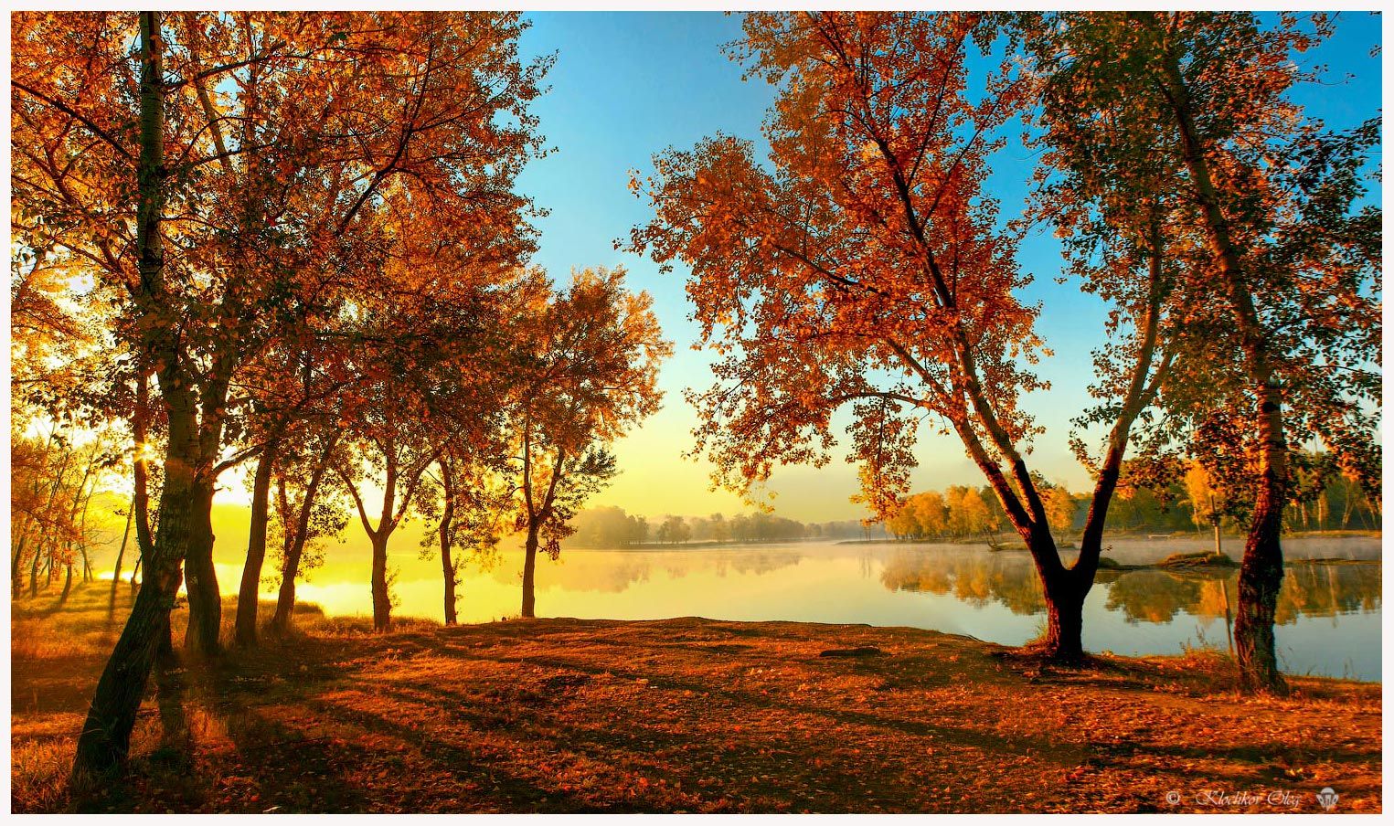 осень,золото,листва,утро,туман,абакан, Олег Клочков