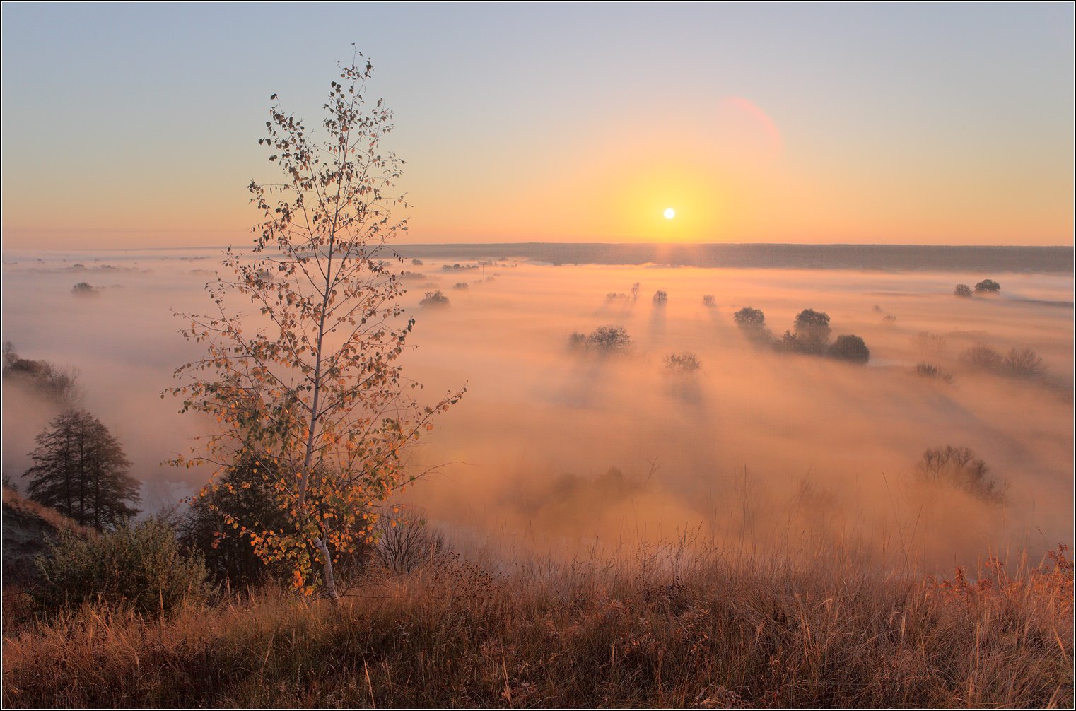 утро река туман, Михаил (mgk)