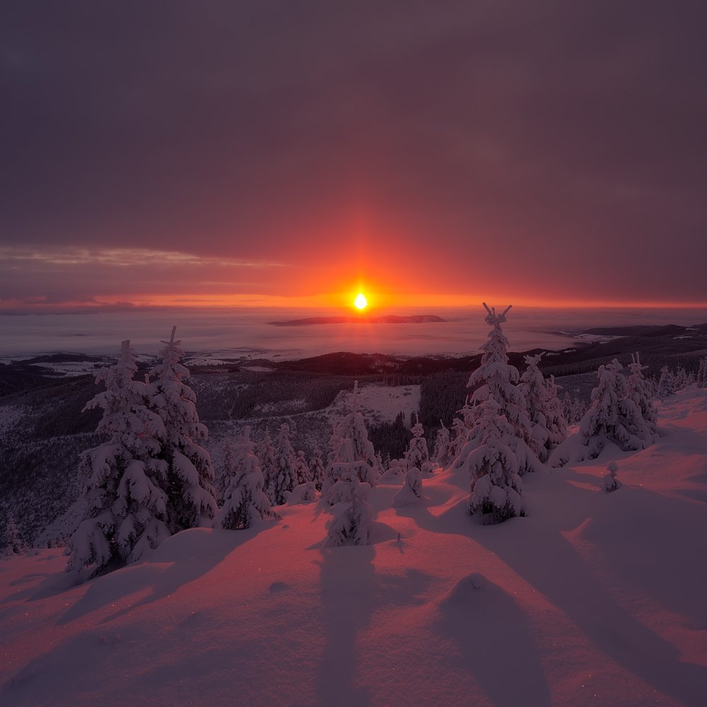 landscape,canon,sunrise,winter,sunrise, Iza i Darek Mitręga