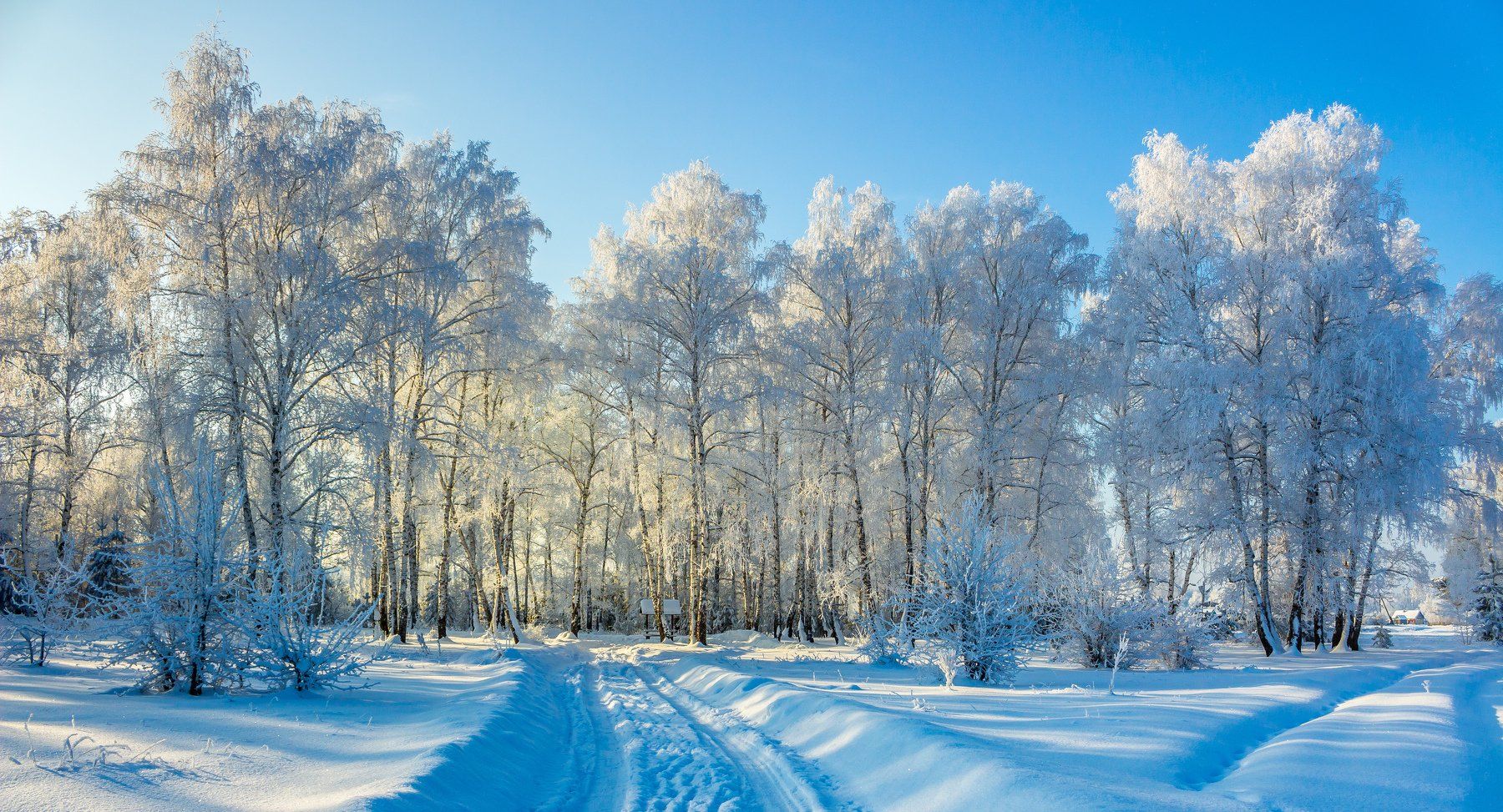рождество, мороз, лес, иней, зима, дорога, деревня, беседка, Руслан Востриков