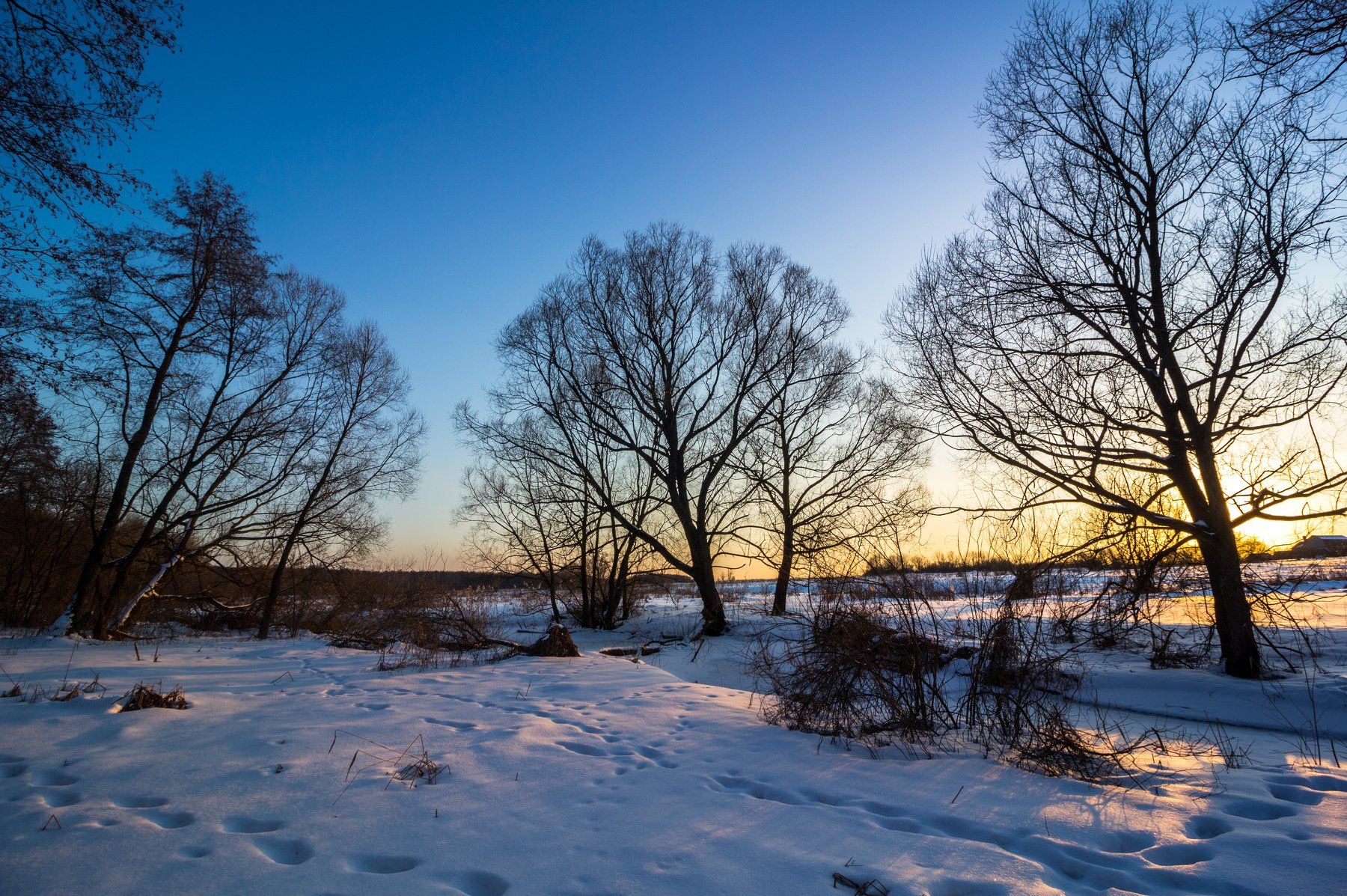 зима, лес, река, усмань, снег, вечер, ольха, Руслан Востриков