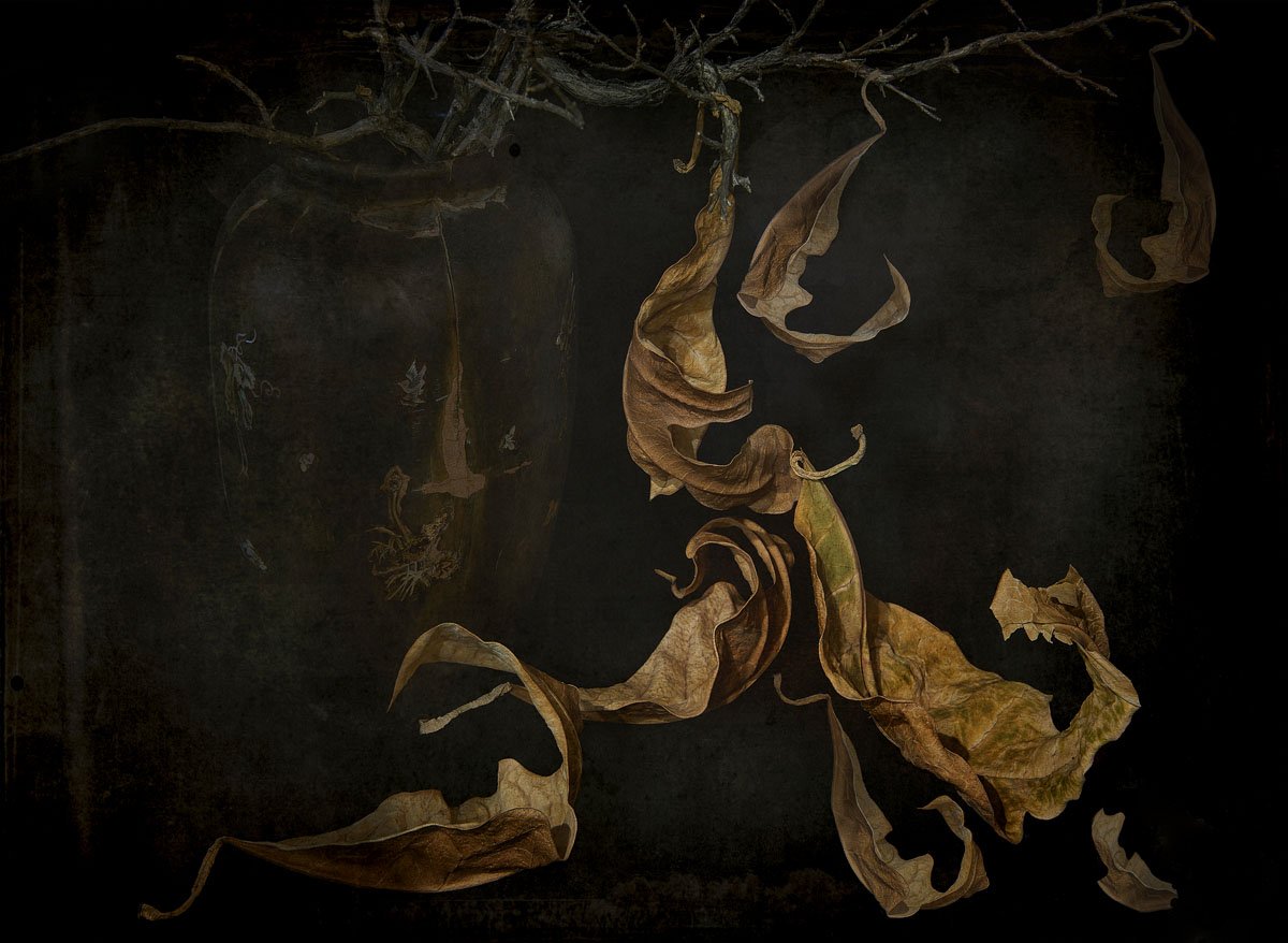 ваза, ветка, засохшие, листья, осенние, темный фон, ретро, гранж, текстура, Игорь Токарев
