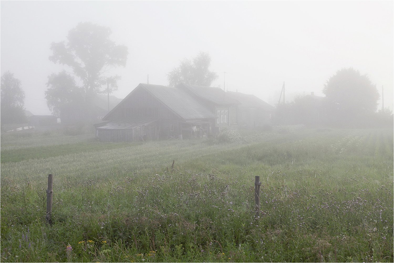 лето, туман, утро, огород, дом, сарай,, Victor Pechenev
