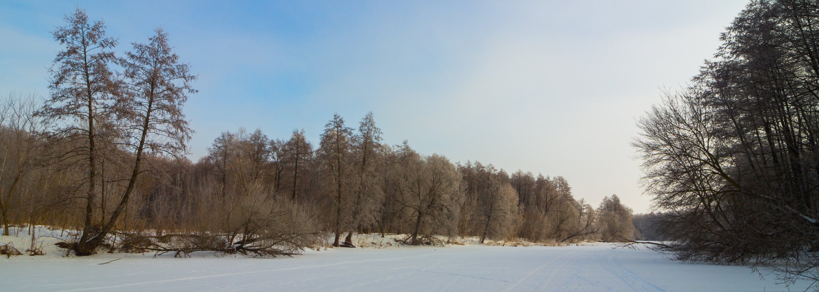 лес, ольха, река, зима, иней, усмань, деревья, Руслан Востриков