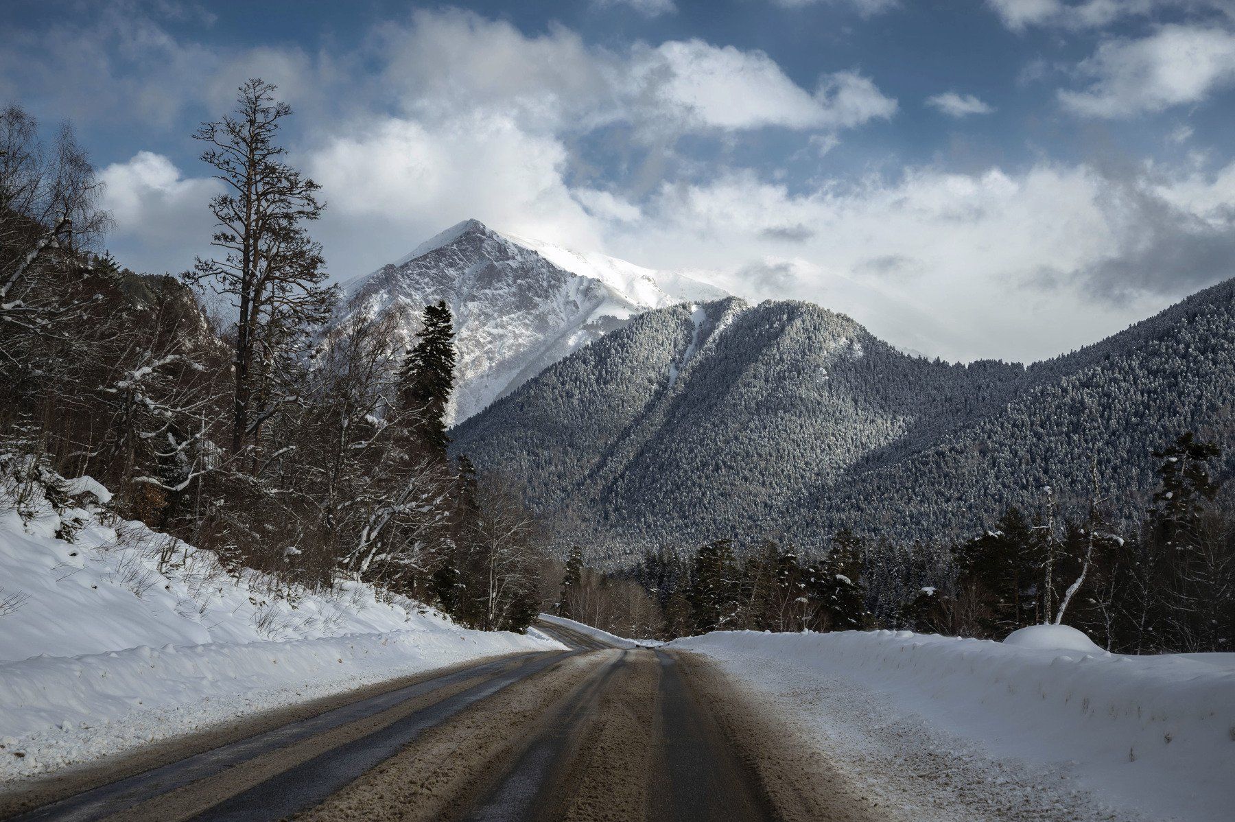 горы зима  снег холод мороз лес forest winter snow frost cold mountains landscape пейзаж природа  дорога road, Егор Бугримов