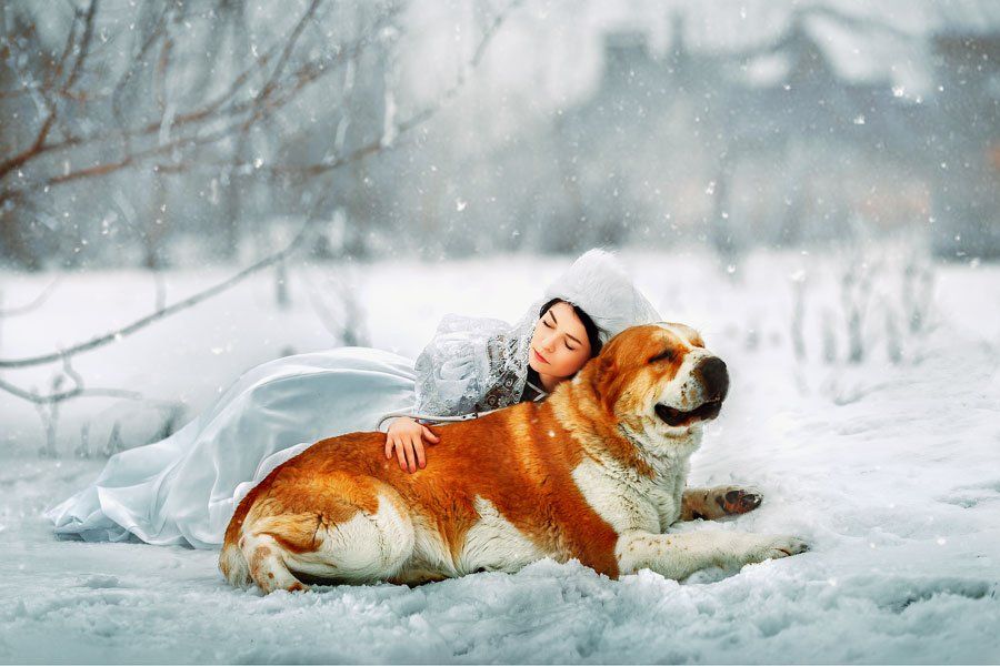 art  fabulous  winter fairy tale  girl and dog  white  red  ferudush  snow  winter  fantasy, Марина Кондратова