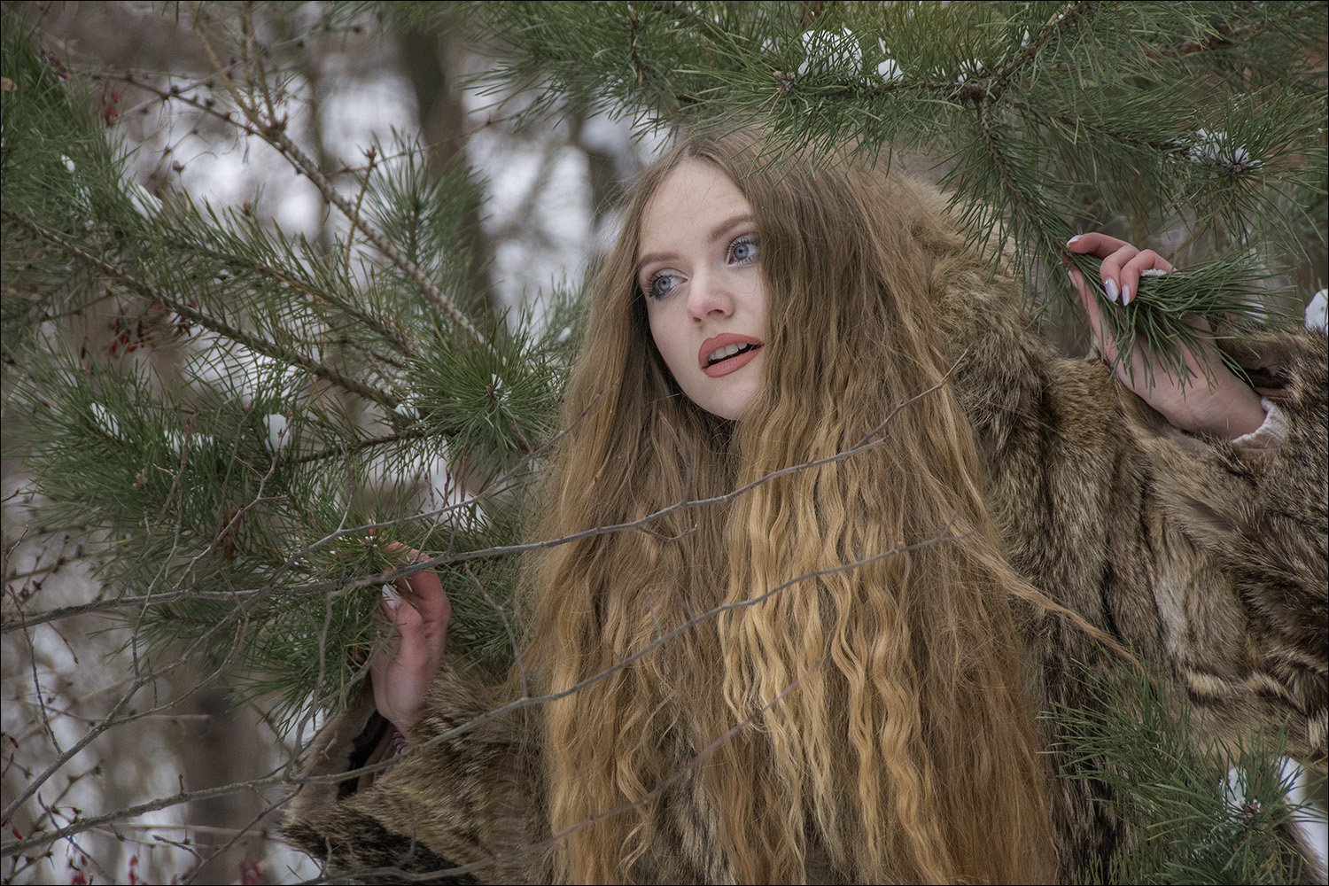зима, лес, январь, девушка, модель, Дмитрий Колисниченко