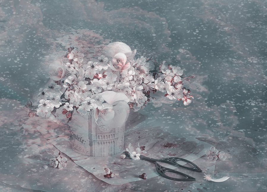 сон зима весна  абрикосовые  цветы старинные ножницы метель, Eлена Шовкопляс