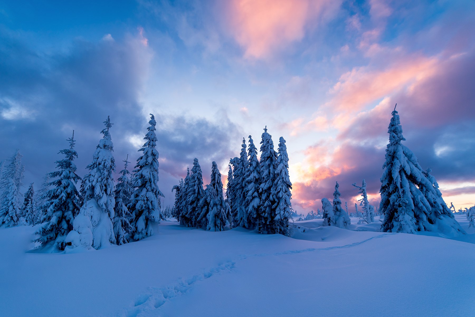 winter,sunrise,sunset,nature,sky,clouds,snow,snowy,frozen,frosty,trees,way,czech,landscape,scene, David Charouz