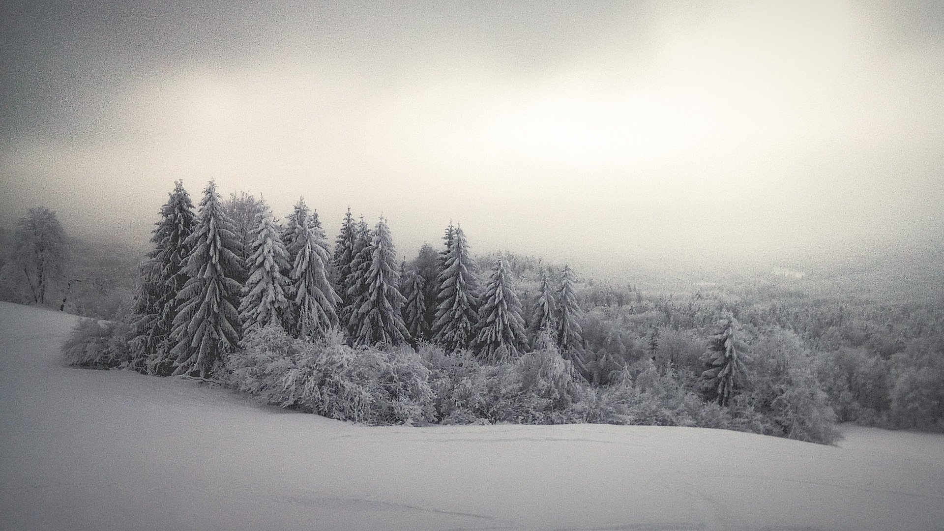 снег, склон, лес, косогор, зима, Sven Rok