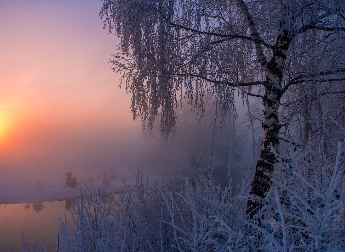 Рассвет, туман,  Истра, мороз, утро, зима , Виталий Левыкин