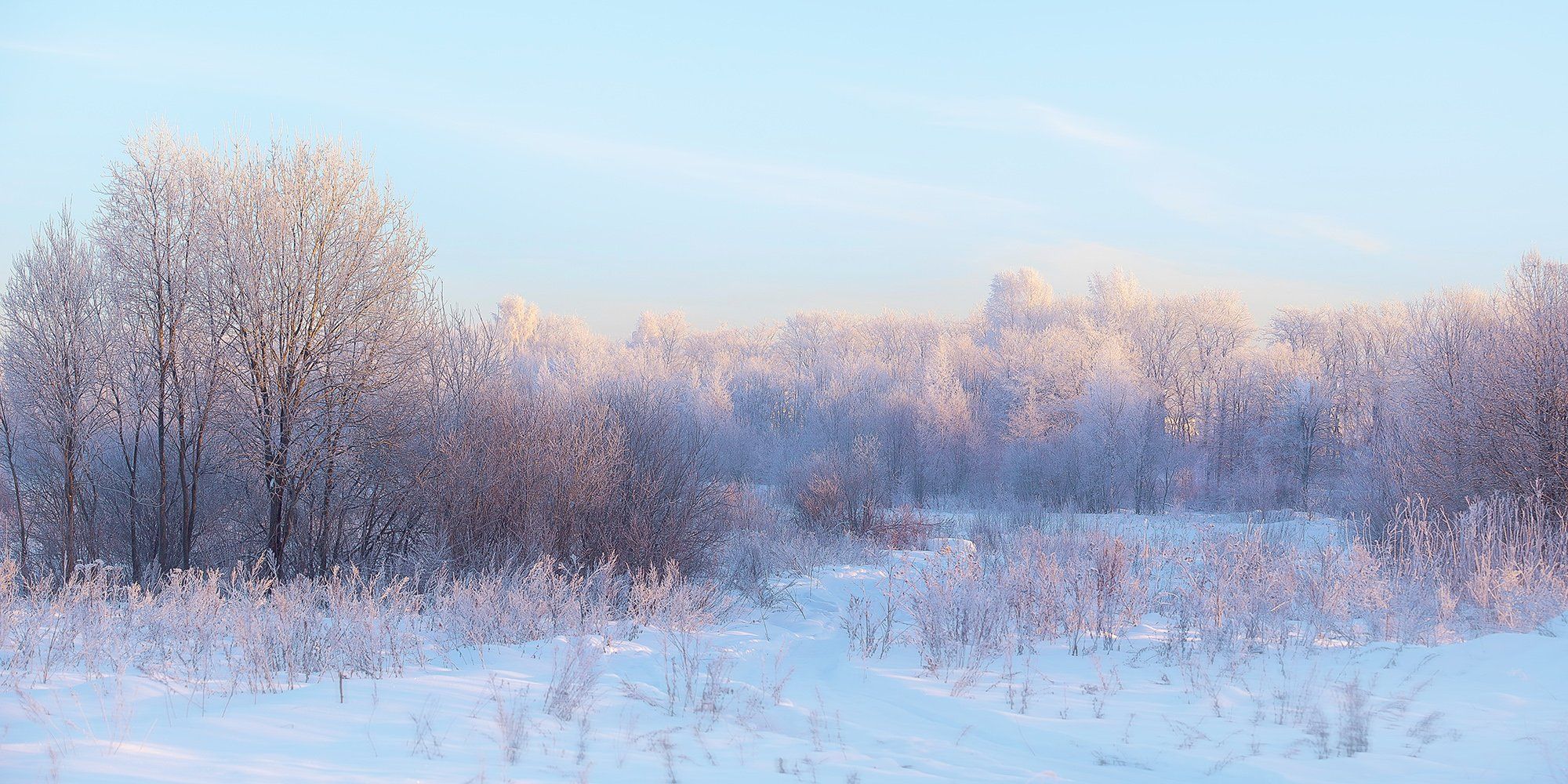зима, снег, поле, день, мороз, Александр Игнатьев