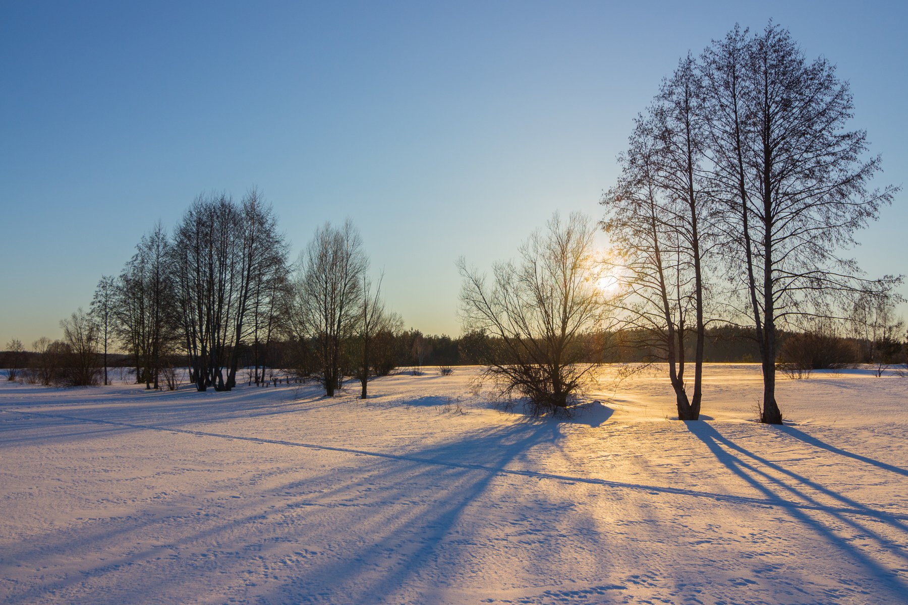 лес, снег, зима, деревья, солнце, вечер, Руслан Востриков