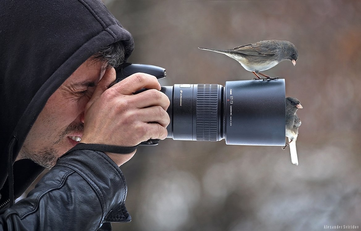 photographer birds, Alexander Sviridov