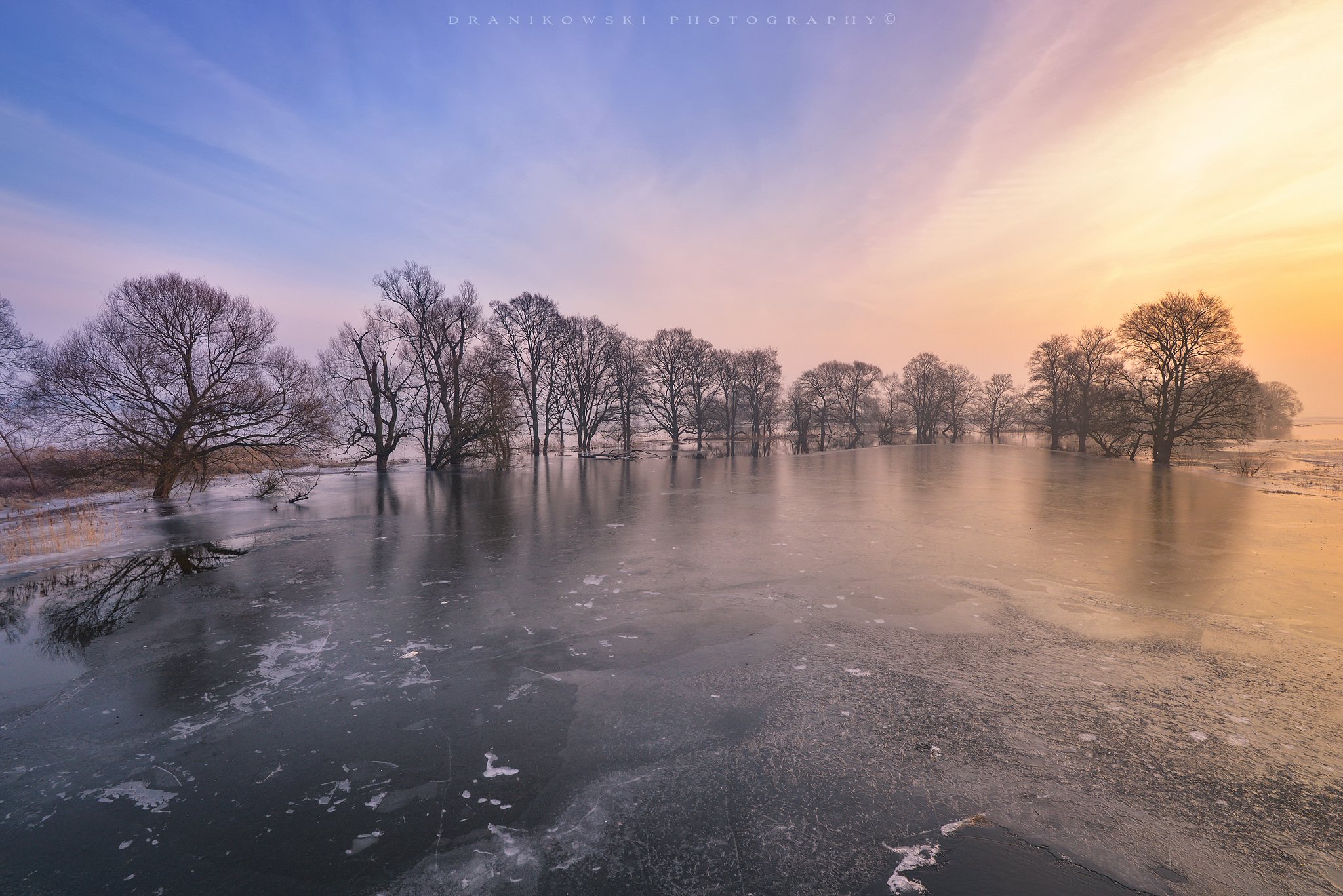 nationalpark unteres odertal ice water trees winter dranikowski morning cold odra river sky, Radoslaw Dranikowski
