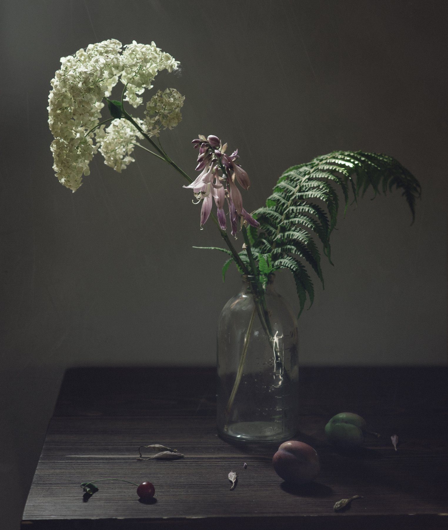 слива, цветы, гортензия, папоротник, Елена Хазина