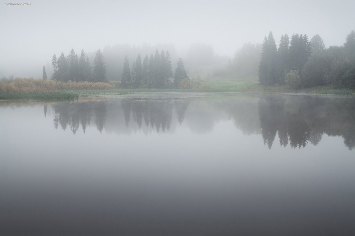 туман, утро, пруд, озеро, осень, пасмурно, Смольский Евгений